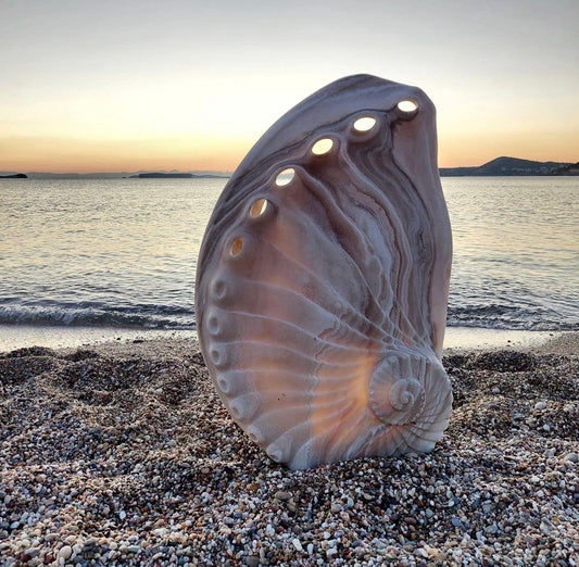 Abalone Sculpture