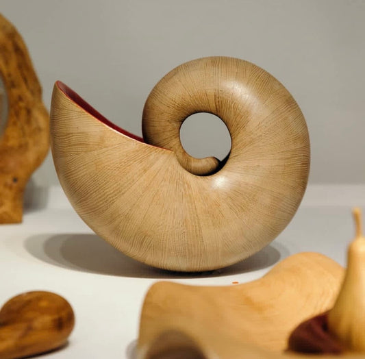 Spiral Oak Shell